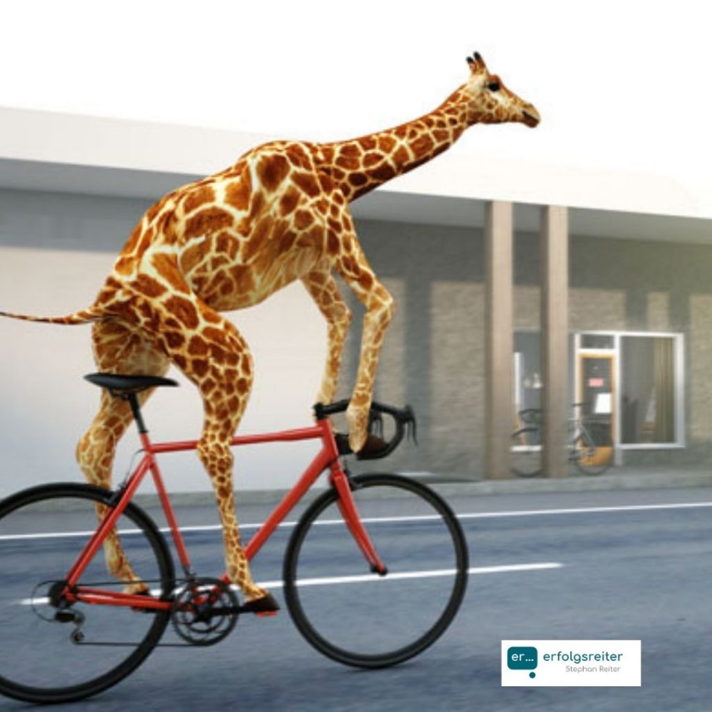 Giraffe fährt Fahrrad